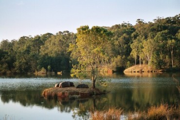 This photo of a lake, complete with sleeping hippos, at Milwane, the big game park and conservation area in Swaziland, was taken by Eckhard Pecher and is used courtesy of the GNU General Public License. (http://commons.wikimedia.org/wiki/File:Mlilwane.jpg)